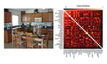 Looking for Semantic Similarity: What a Vector Space Model of Semantics Can Tell Us About Attention in Real-world Scenes