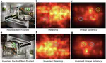 Scene inversion reveals distinct patterns of attention to semantically interpreted and uninterpreted features