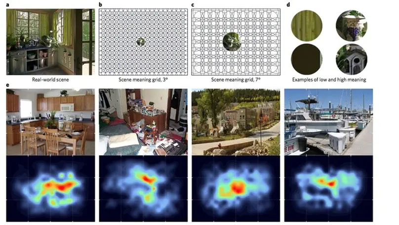 Meaning-based guidance of attention in scenes as revealed by meaning maps